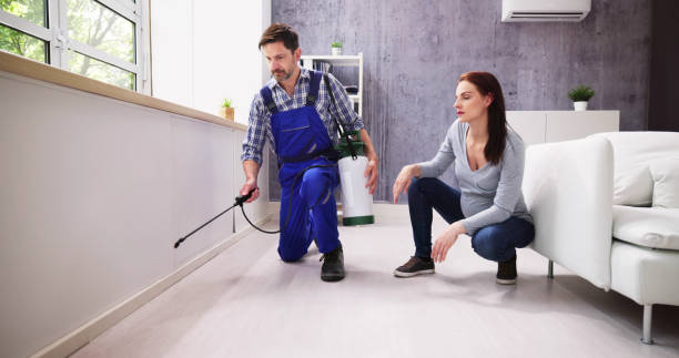 Best Pest Exclusion Services  in Twinsburg Heights, OH